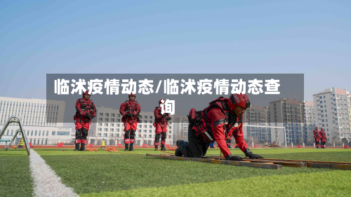 临沭疫情动态/临沭疫情动态查询-第2张图片