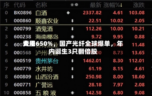 费用大涨650%，国产光纤全球爆单，年内诞生3只翻倍股-第2张图片