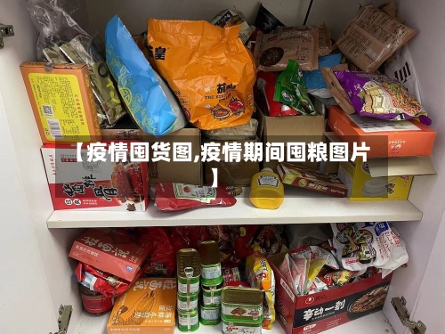 【疫情囤货图,疫情期间囤粮图片】-第2张图片