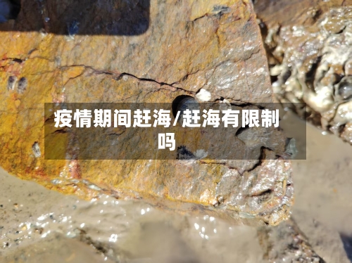 疫情期间赶海/赶海有限制吗-第3张图片
