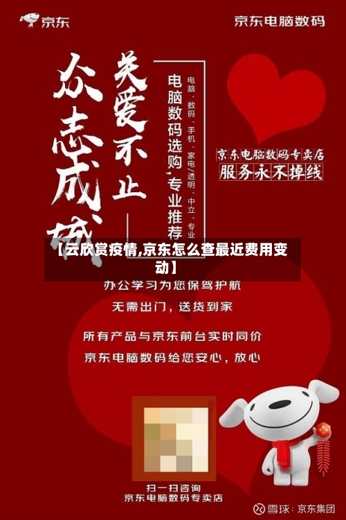 【云欣赏疫情,京东怎么查最近费用变动】