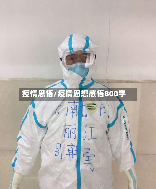 疫情思悟/疫情思想感悟800字