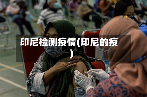 印尼检测疫情(印尼的疫)-第3张图片