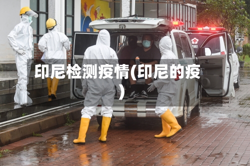 印尼检测疫情(印尼的疫)