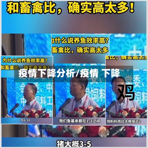 疫情下降分析/疫情 下降
