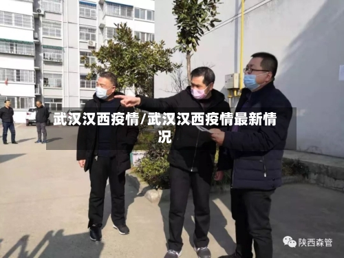 武汉汉西疫情/武汉汉西疫情最新情况-第2张图片