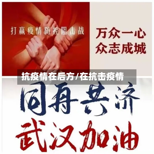 抗疫情在后方/在抗击疫情