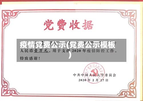 疫情党费公示(党费公示模板)
