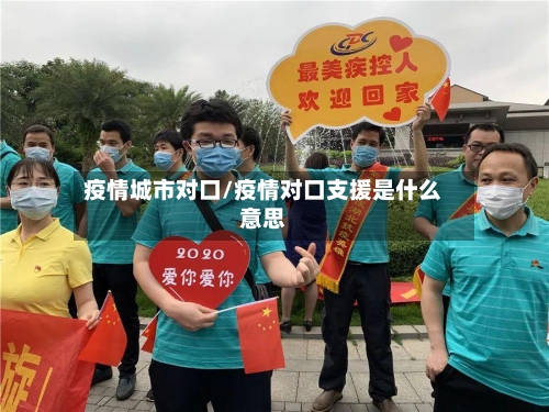疫情城市对口/疫情对口支援是什么意思