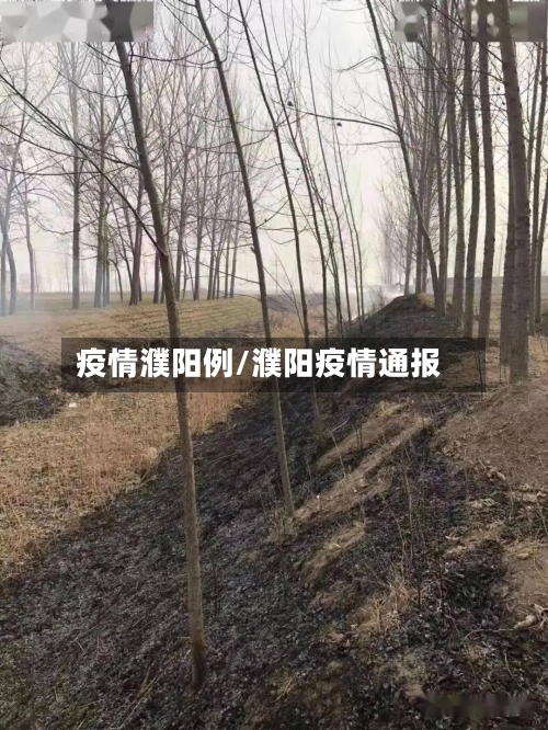 疫情濮阳例/濮阳疫情通报