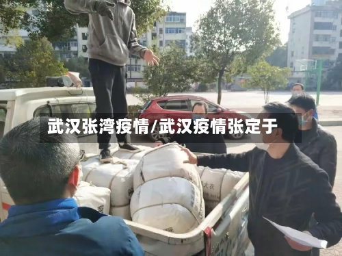 武汉张湾疫情/武汉疫情张定于-第2张图片