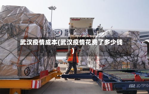 武汉疫情成本(武汉疫情花费了多少钱)