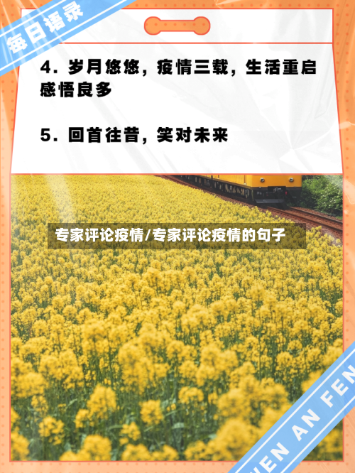 专家评论疫情/专家评论疫情的句子-第2张图片