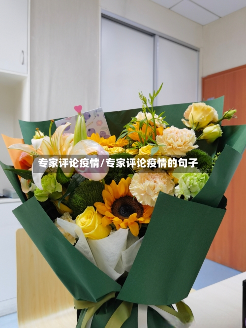 专家评论疫情/专家评论疫情的句子