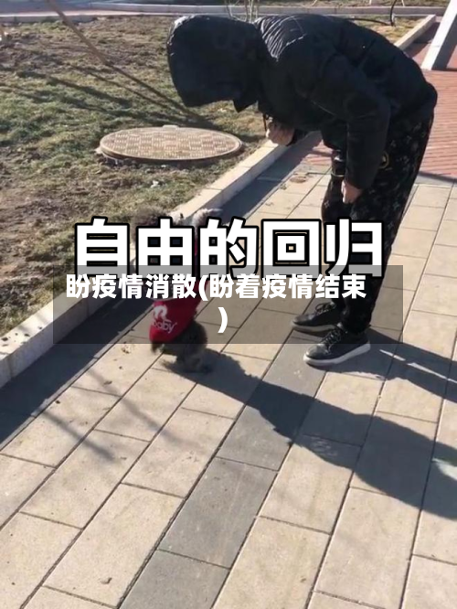 盼疫情消散(盼着疫情结束)-第2张图片