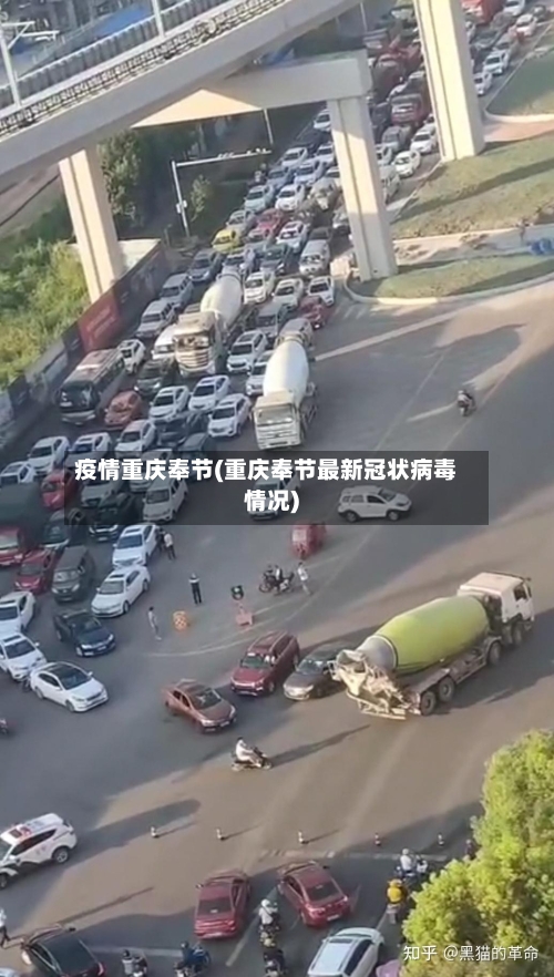 疫情重庆奉节(重庆奉节最新冠状病毒情况)