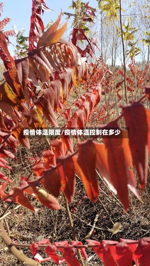 疫情体温限度/疫情体温控制在多少