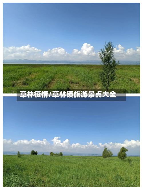 草林疫情/草林镇旅游景点大全-第2张图片