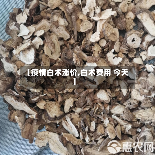 【疫情白术涨价,白术费用 今天】
