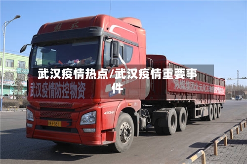 武汉疫情热点/武汉疫情重要事件-第2张图片