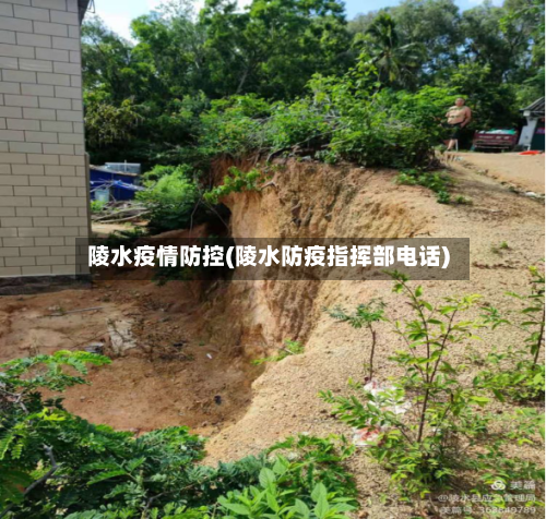 陵水疫情防控(陵水防疫指挥部电话)