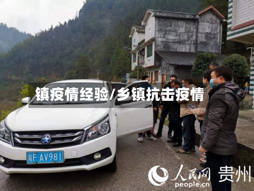 镇疫情经验/乡镇抗击疫情