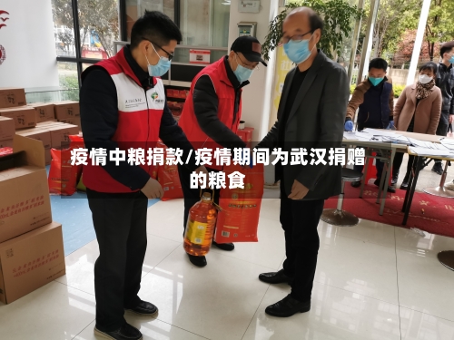 疫情中粮捐款/疫情期间为武汉捐赠的粮食