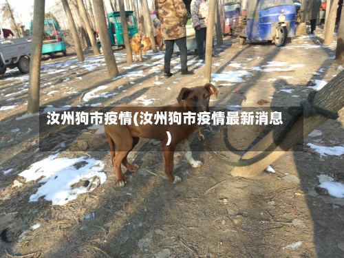 汝州狗市疫情(汝州狗市疫情最新消息)-第2张图片