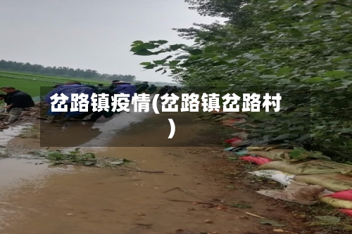 岔路镇疫情(岔路镇岔路村)