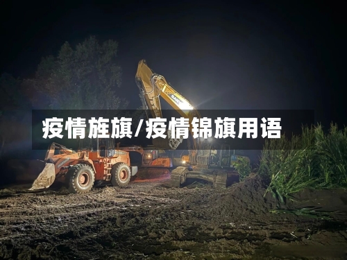 疫情旌旗/疫情锦旗用语-第3张图片