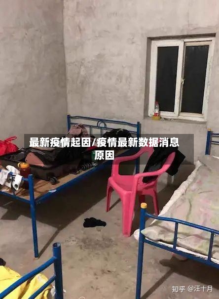 最新疫情起因/疫情最新数据消息原因-第2张图片