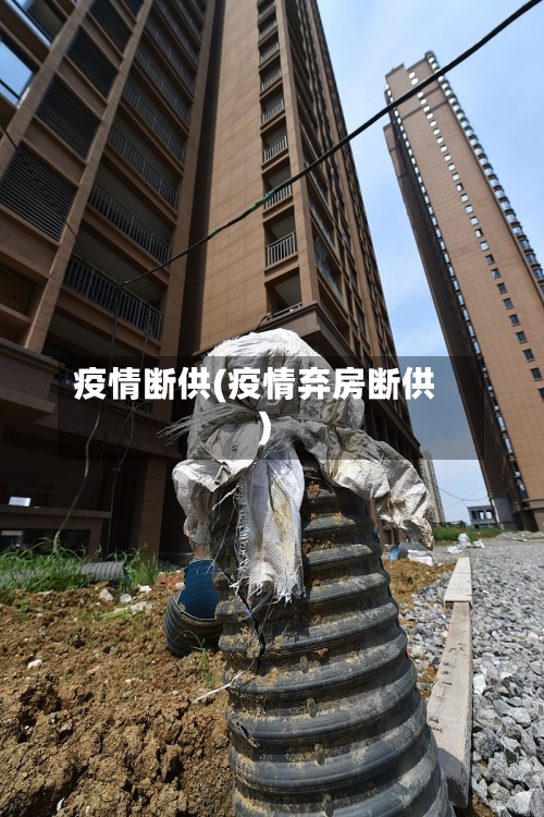 疫情断供(疫情弃房断供)-第2张图片