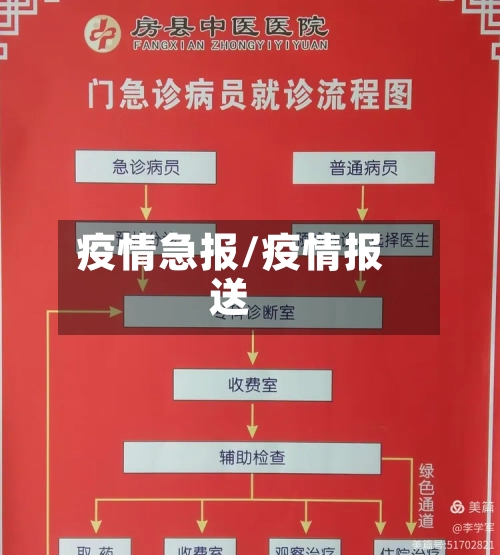 疫情急报/疫情报送-第3张图片