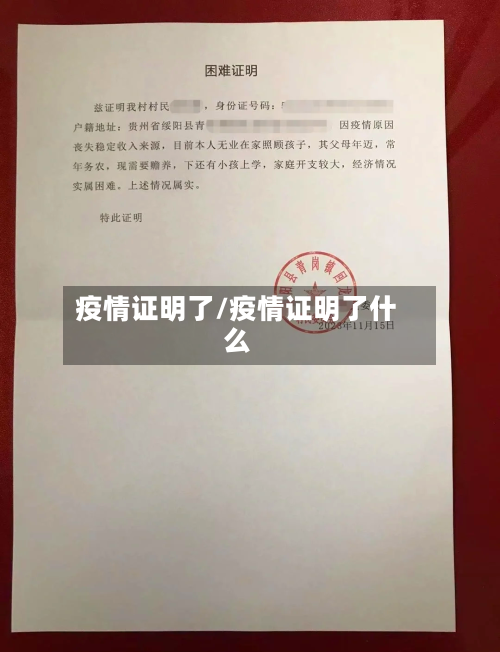 疫情证明了/疫情证明了什么-第2张图片