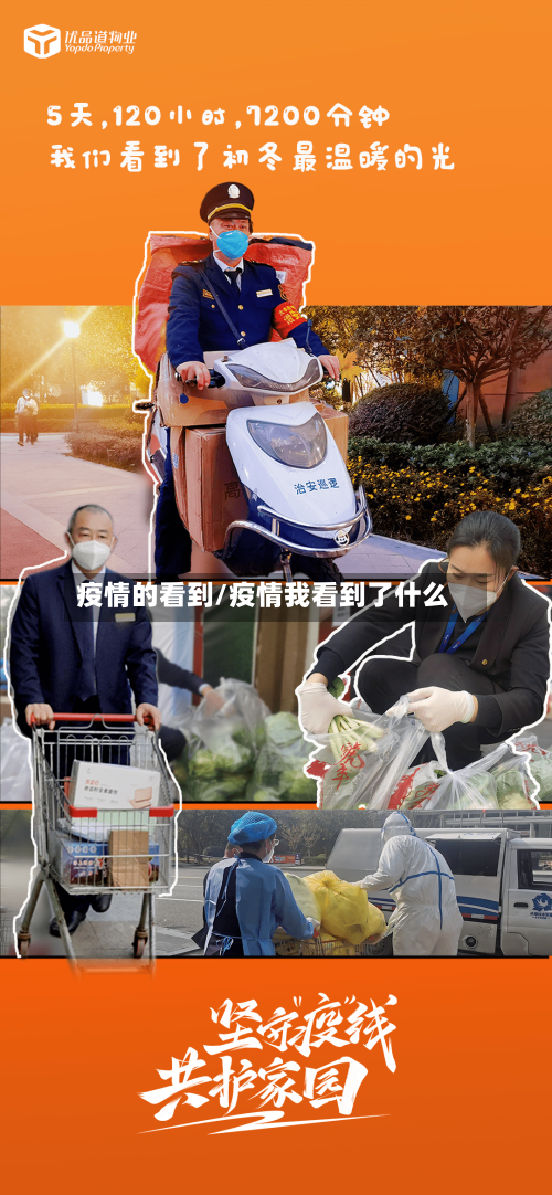 疫情的看到/疫情我看到了什么