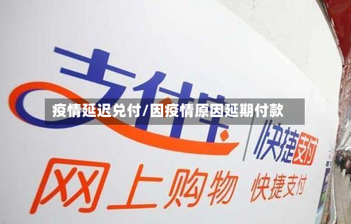疫情延迟兑付/因疫情原因延期付款
