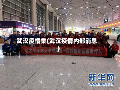 武汉疫情集(武汉疫情内部消息)-第3张图片