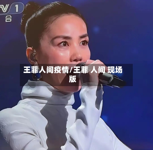 王菲人间疫情/王菲 人间 现场版-第2张图片