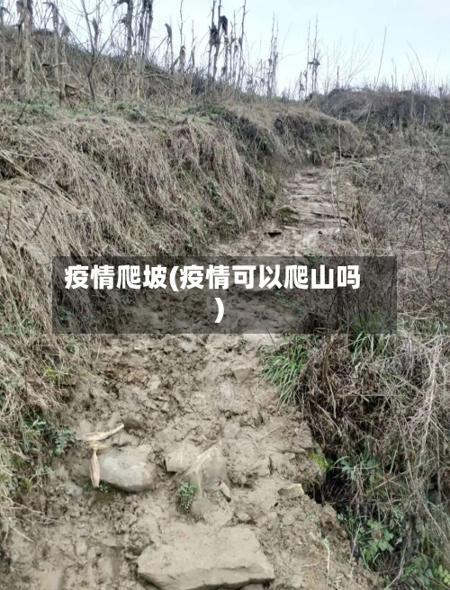 疫情爬坡(疫情可以爬山吗)