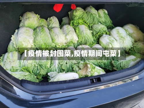 【疫情被封囤菜,疫情期间屯菜】-第2张图片