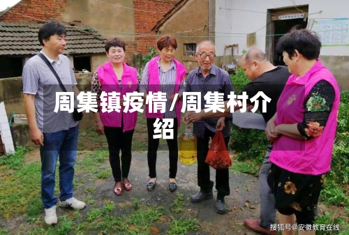 周集镇疫情/周集村介绍-第2张图片