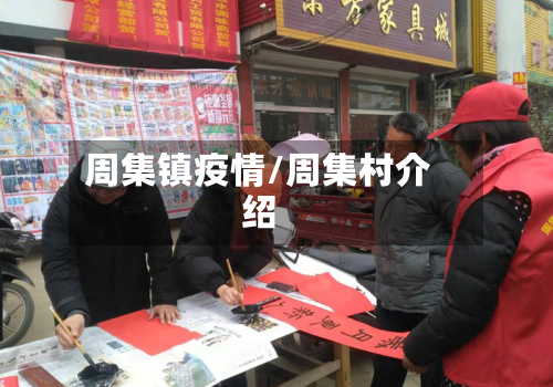 周集镇疫情/周集村介绍-第3张图片