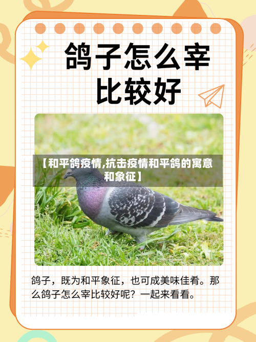 【和平鸽疫情,抗击疫情和平鸽的寓意和象征】-第2张图片