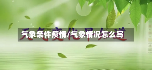 气象条件疫情/气象情况怎么写
