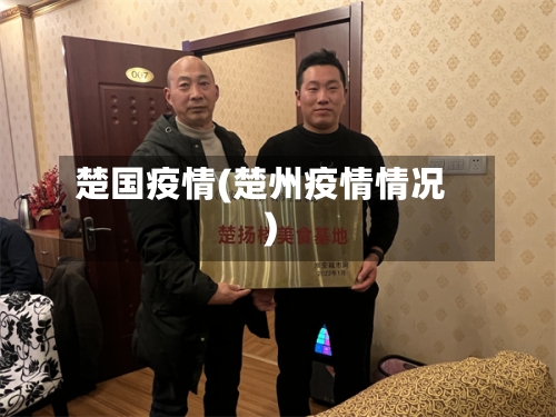 楚国疫情(楚州疫情情况)