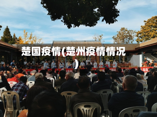 楚国疫情(楚州疫情情况)-第3张图片