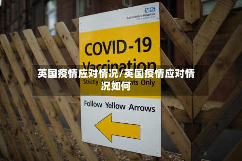 英国疫情应对情况/英国疫情应对情况如何-第3张图片