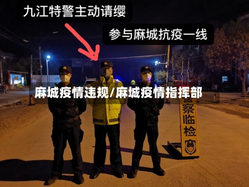 麻城疫情违规/麻城疫情指挥部-第3张图片