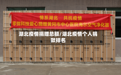 湖北疫情捐赠总额/湖北疫情个人捐款排名