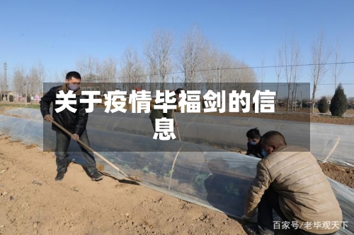关于疫情毕福剑的信息-第2张图片